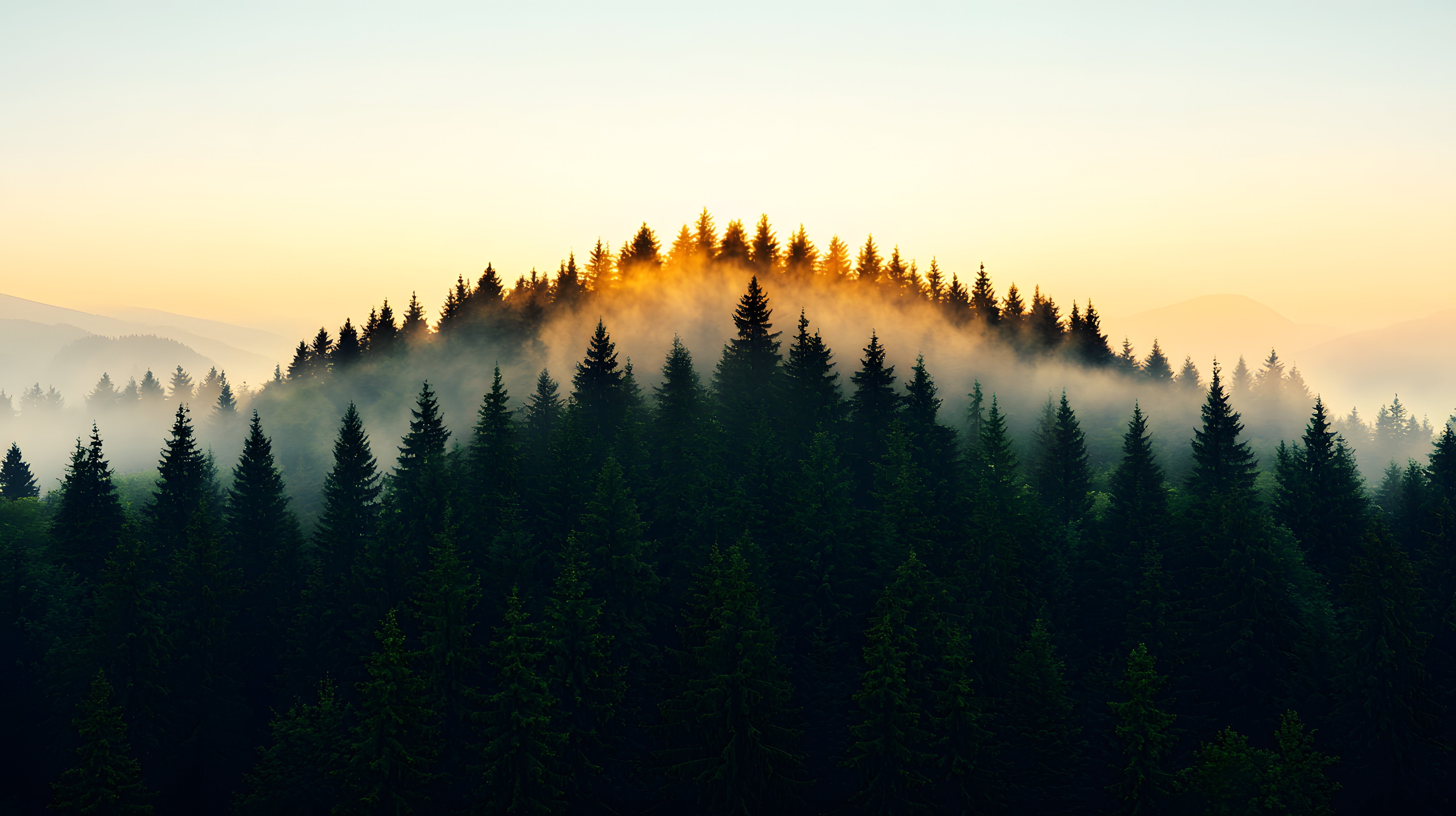 AdobeStock_1467064628