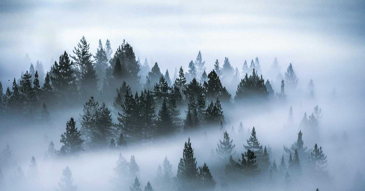 img_og_blog_lifting_the_fog_part_1